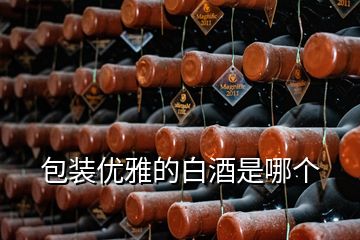 包裝優(yōu)雅的白酒是哪個(gè)