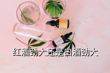 紅酒勁大還是白酒勁大