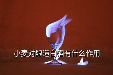 小麥對(duì)釀造白酒有什么作用