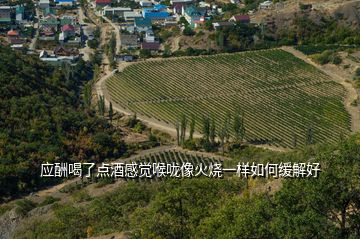應(yīng)酬喝了點(diǎn)酒感覺(jué)喉嚨像火燒一樣如何緩解好