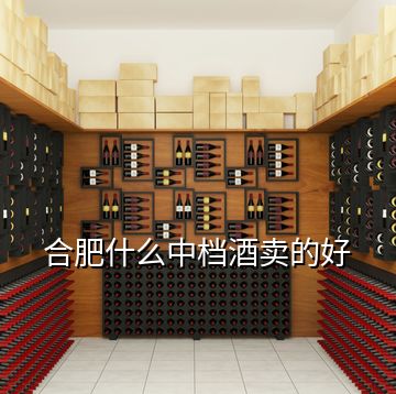 合肥什么中檔酒賣的好
