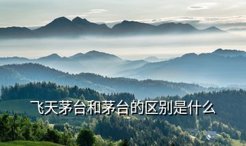 飛天茅臺(tái)和茅臺(tái)的區(qū)別是什么