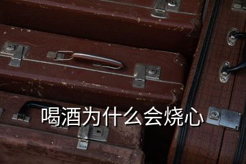 喝酒為什么會燒心