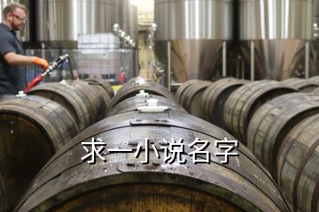 求一小說(shuō)名字