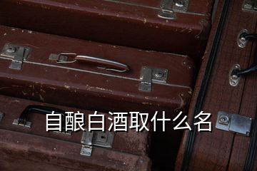 自釀白酒取什么名