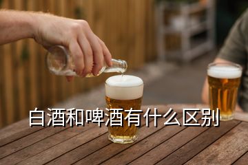 白酒和啤酒有什么區(qū)別