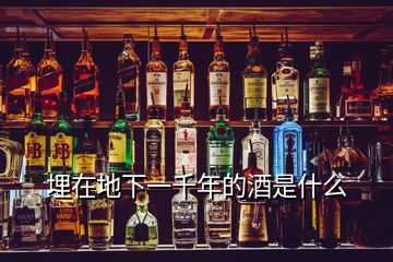 埋在地下一千年的酒是什么