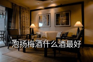 泡揚(yáng)梅酒什么酒最好