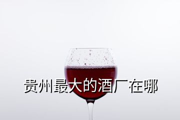 貴州最大的酒廠(chǎng)在哪