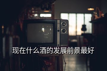 現(xiàn)在什么酒的發(fā)展前景最好