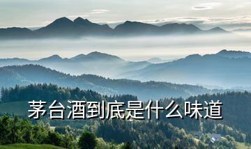 茅臺酒到底是什么味道