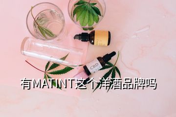 有MATINT這個(gè)洋酒品牌嗎