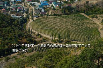 我上個月代理了一個安徽的白酒品牌合同里寫明了廠方負責(zé)提供服務(wù)