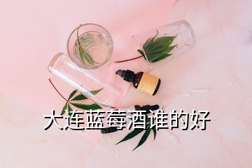 大連藍(lán)莓酒誰(shuí)的好