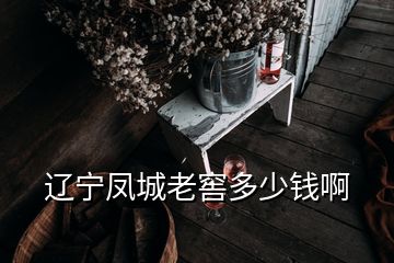 遼寧鳳城老窖多少錢(qián)啊