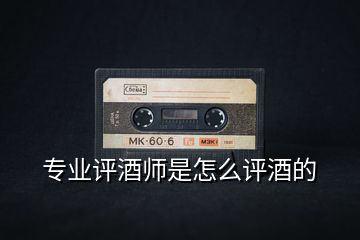 專業(yè)評酒師是怎么評酒的