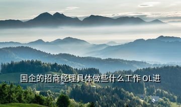 國(guó)企的招商經(jīng)理具體做些什么工作 OL進(jìn)