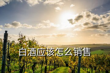 白酒應該怎么銷售