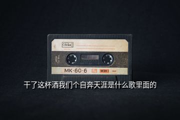 干了這杯酒我們個自奔天涯是什么歌里面的