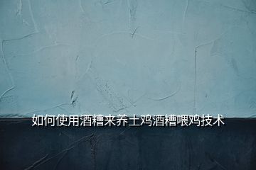 如何使用酒糟來養(yǎng)土雞酒糟喂雞技術(shù)