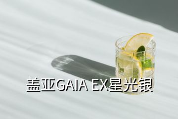 蓋亞GAIA EX星光銀
