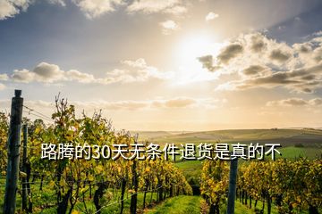 路騰的30天無條件退貨是真的不