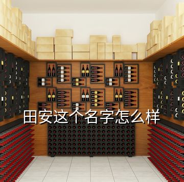 田安這個(gè)名字怎么樣