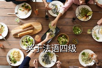 關(guān)于法語四級(jí)