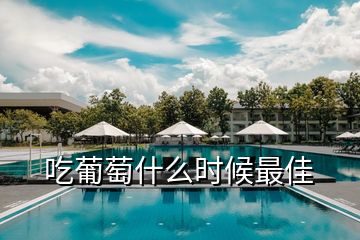 吃葡萄什么時候最佳