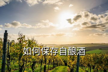 如何保存自釀酒