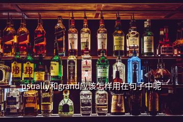 usually和grand應該怎樣用在句子中呢