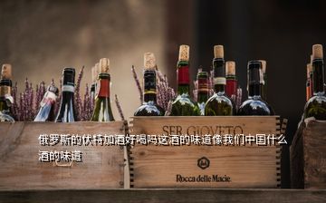 俄羅斯的伏特加酒好喝嗎這酒的味道像我們中國(guó)什么酒的味道