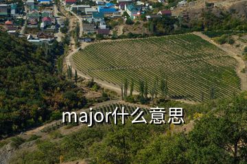 major什么意思