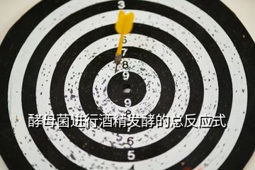 酵母菌進(jìn)行酒精發(fā)酵的總反應(yīng)式