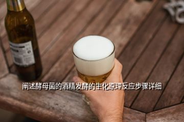 闡述酵母菌的酒精發(fā)酵的生化原理反應(yīng)步驟詳細(xì)
