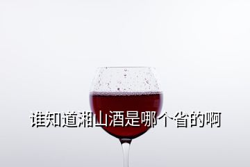 誰知道湘山酒是哪個(gè)省的啊