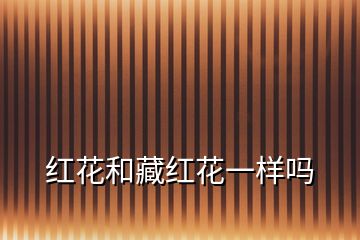 紅花和藏紅花一樣嗎