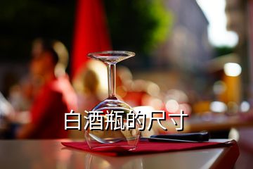 白酒瓶的尺寸
