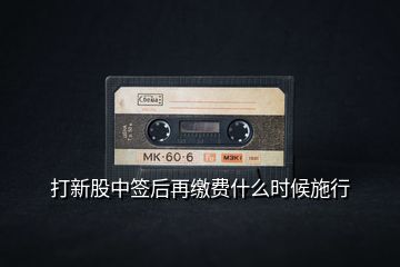 打新股中簽后再繳費什么時候施行