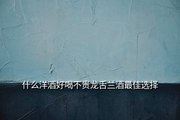 什么洋酒好喝不貴龍舌蘭酒最佳選擇