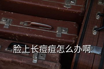 臉上長痘痘怎么辦啊