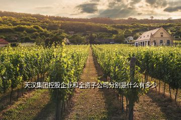 天漢集團控股企業(yè)和全資子公司分別是什么有多少