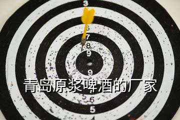 青島原漿啤酒的廠(chǎng)家