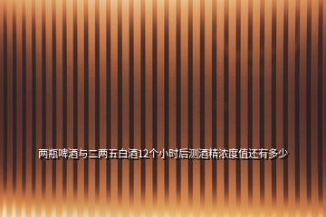 兩瓶啤酒與二兩五白酒12個小時后測酒精濃度值還有多少