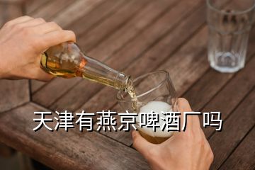 天津有燕京啤酒廠嗎