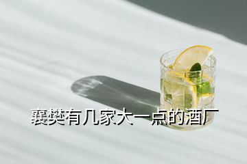 襄樊有幾家大一點(diǎn)的酒廠