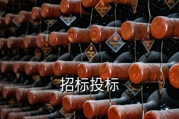 招標(biāo)投標(biāo)
