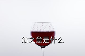 翁之意是什么