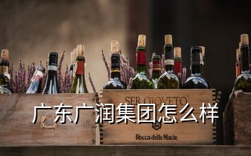 廣東廣潤集團怎么樣