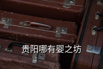 貴陽(yáng)哪有嬰之坊